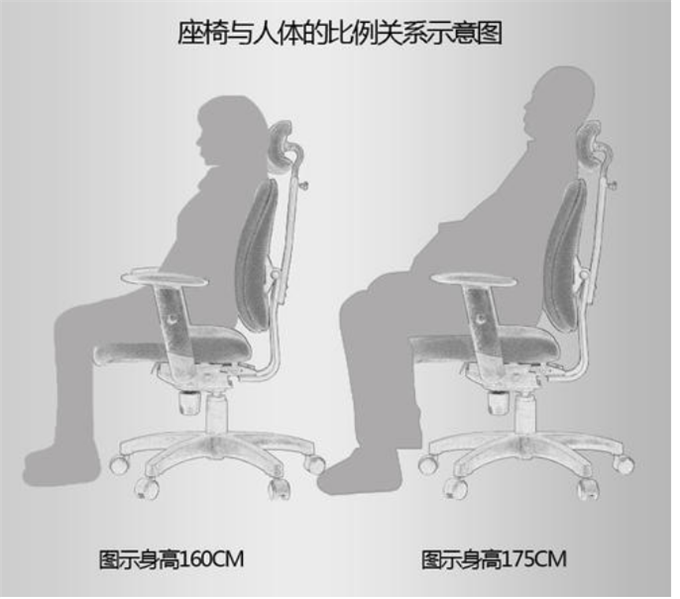 椅子分析圖 椅子分析圖